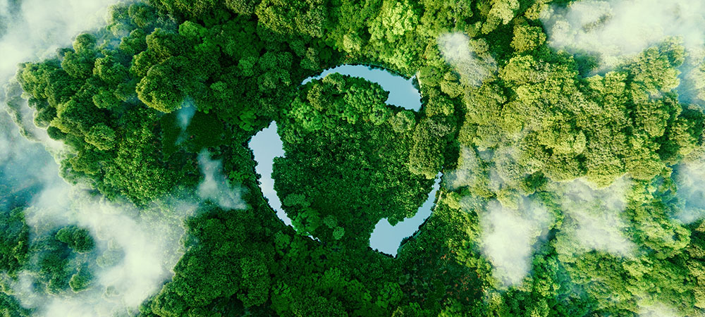 Sustainability is improving the bottom line for 44% of organizations