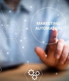 Improved efficiency and insights using marketing automation boosts Reed’s revenue