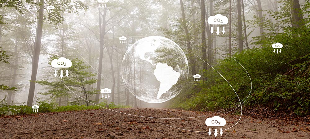 Editor’s Question: How can companies genuinely reduce their CO2 emissions?